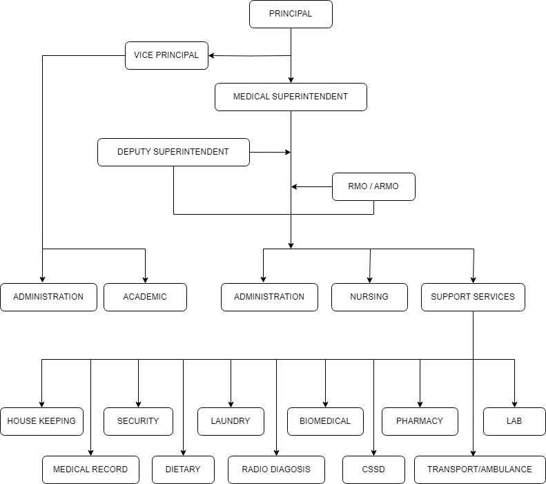 Organogram 2025-2026